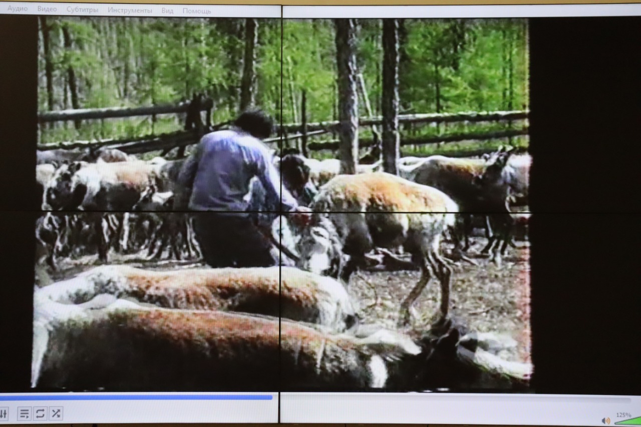 Фото: Нарыйа Пахомова/ЯСИА