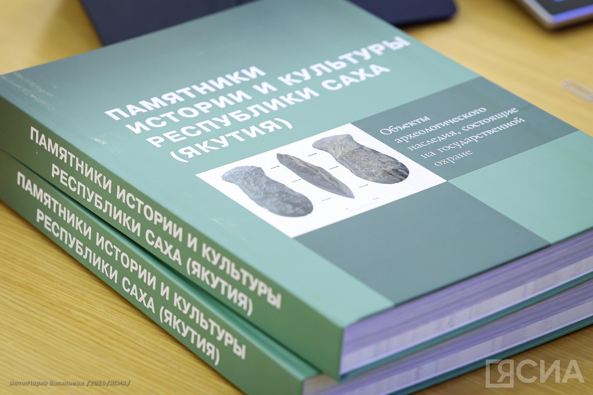 Фото: Мария Васильева/ЯСИА