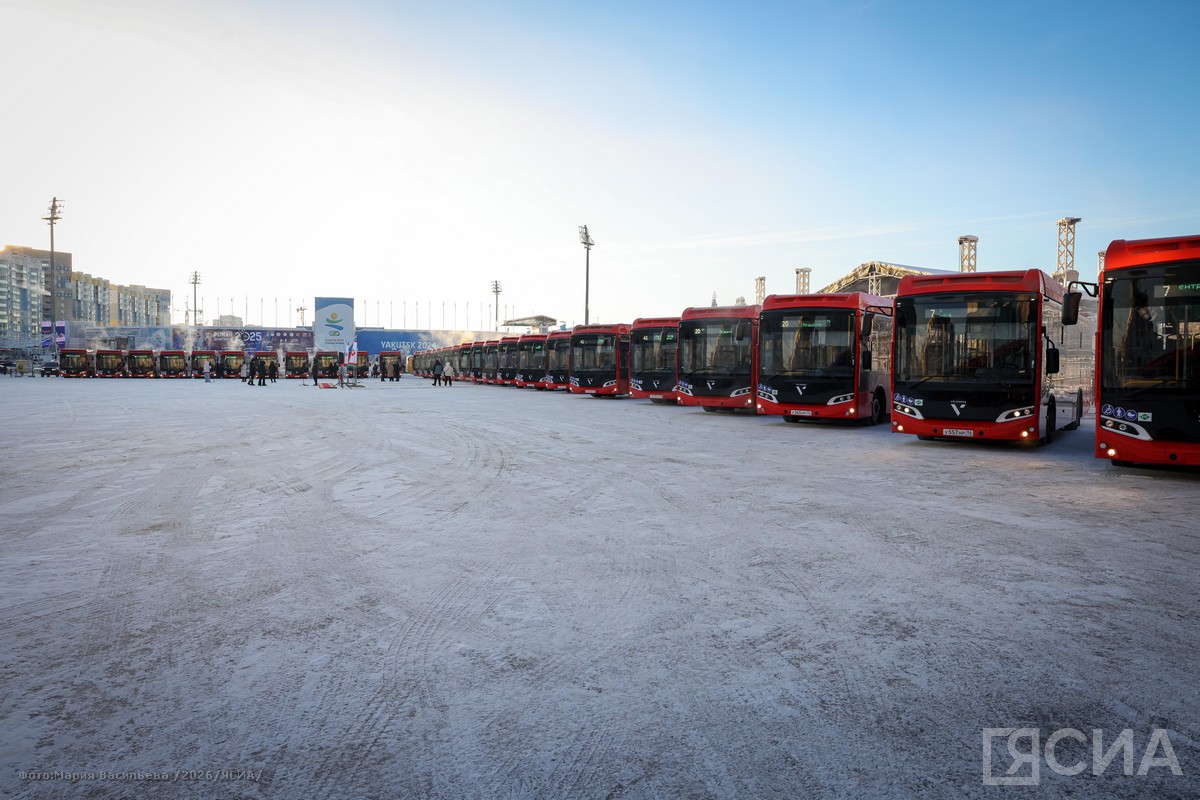 Фото: Мария Васильева/ЯСИА