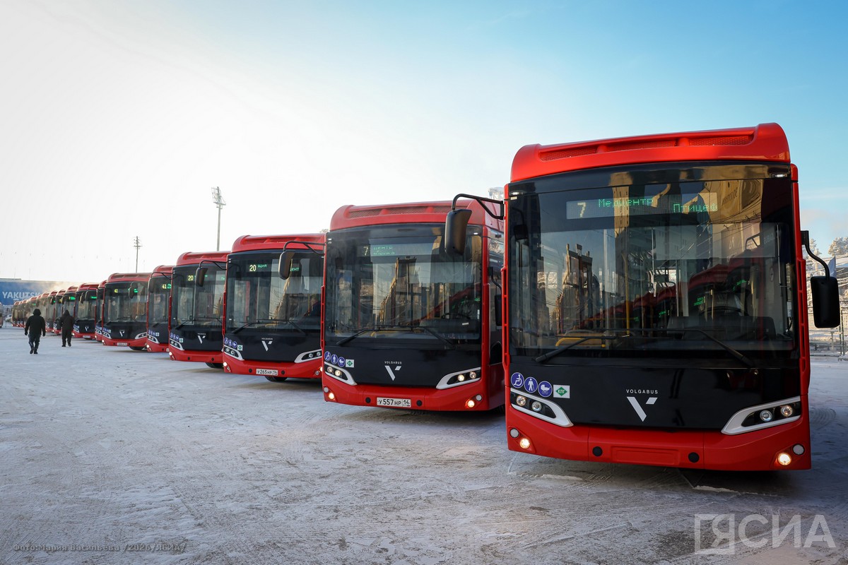 Фото: Мария Васильева/ЯСИА