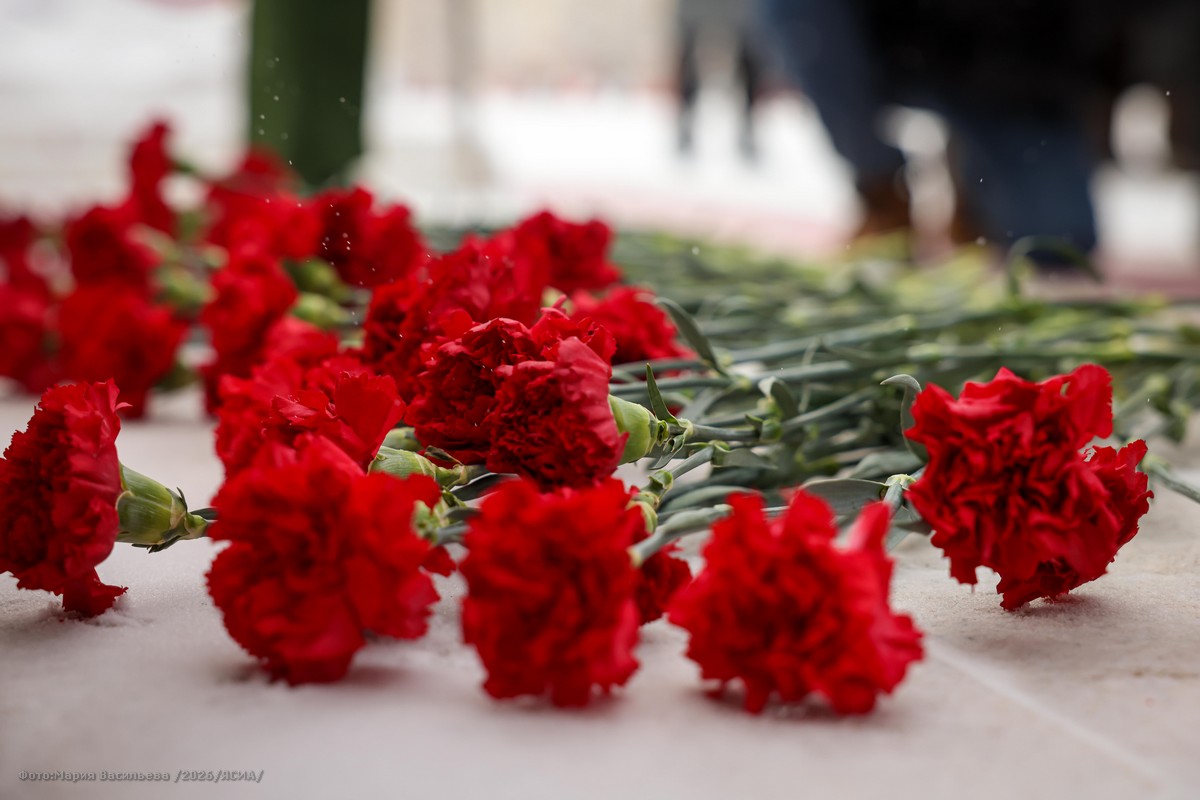 Фото: Мария Васильева/ЯСИА