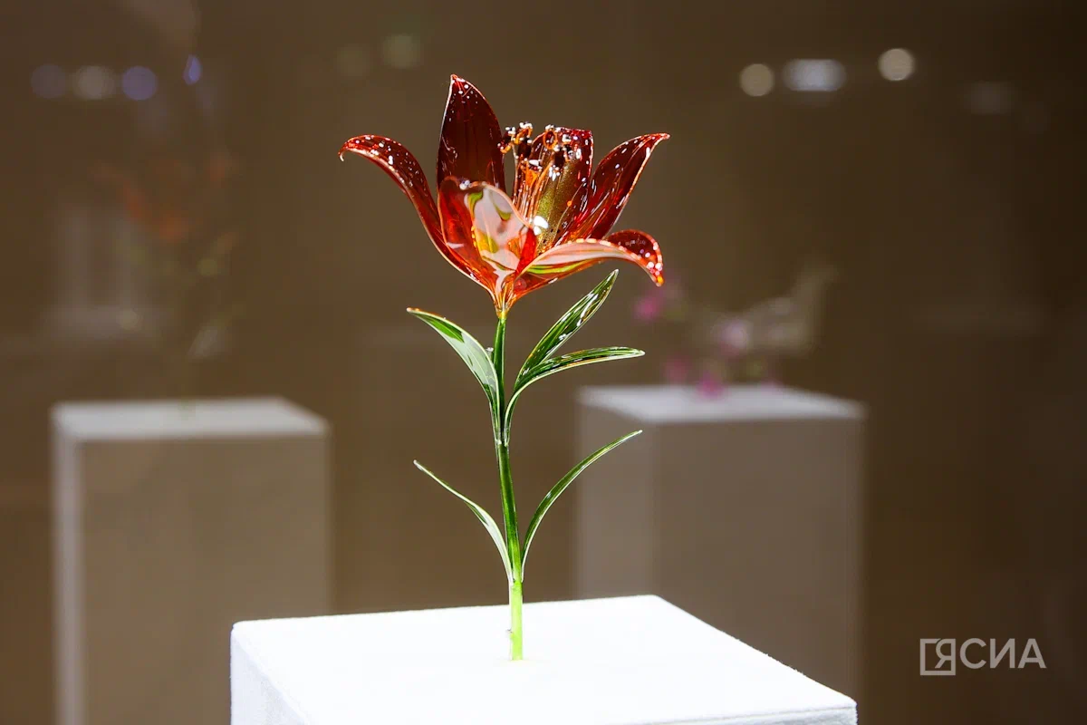 Саргын Скрябин/ЯСИА