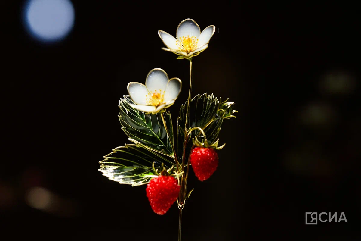 Саргын Скрябин/ЯСИА