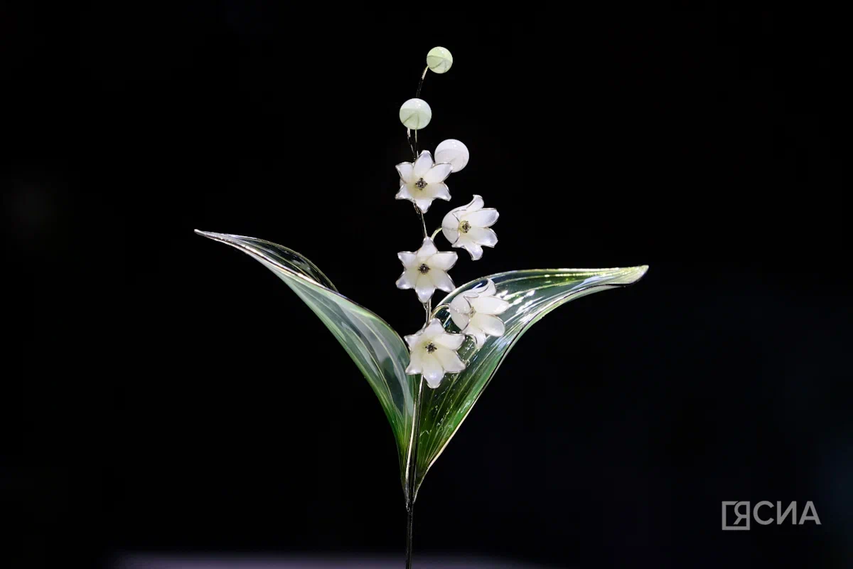 Саргын Скрябин/ЯСИА