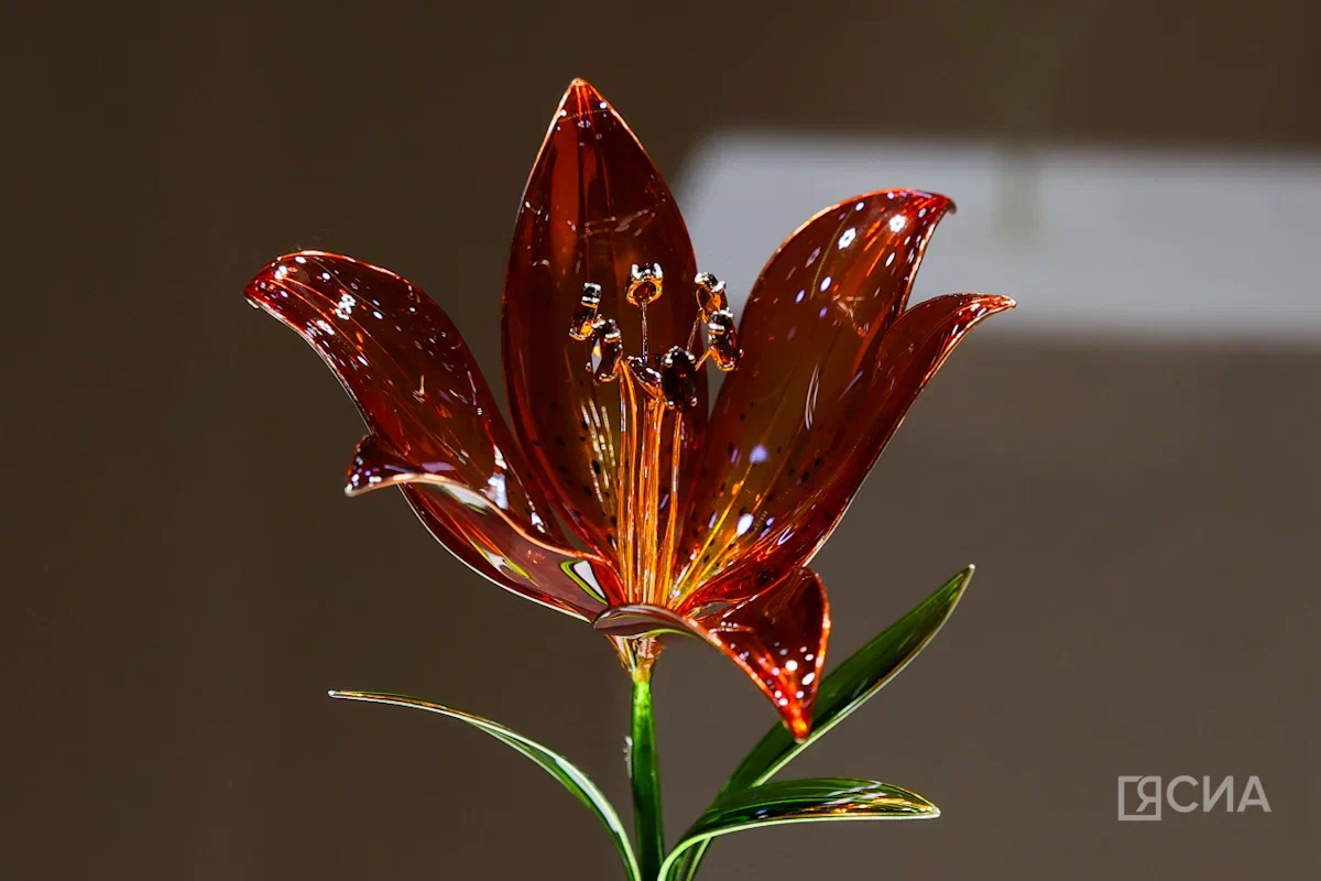 Саргын Скрябин/ЯСИА