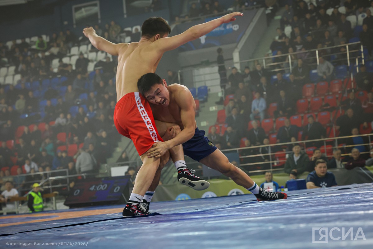 Фото: Мария Васильева, ЯСИА