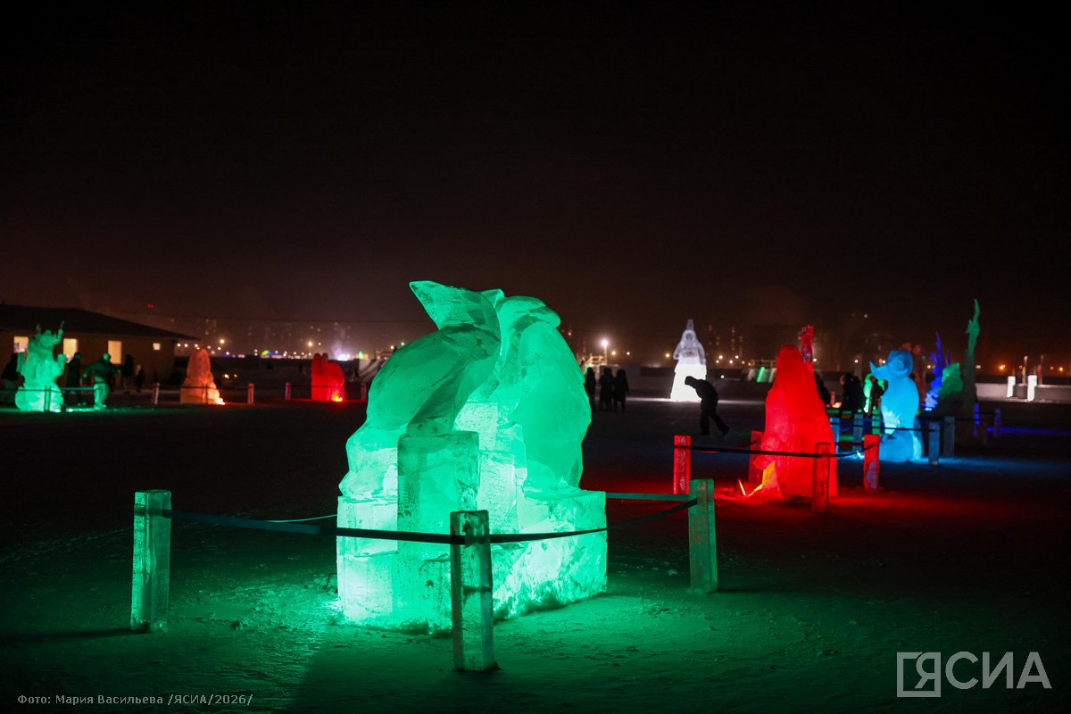 Фото: Мария Васильева/ЯСИА