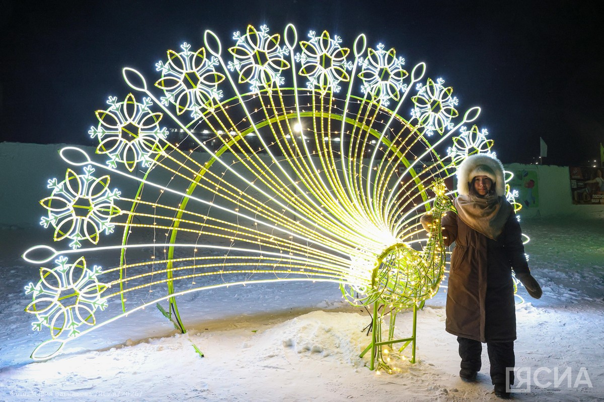 Фото: Мария Васильева/ЯСИА