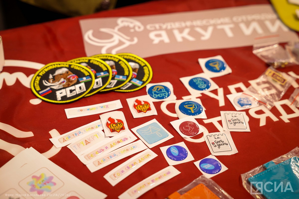 Фото: Мария Васильева/ЯСИА