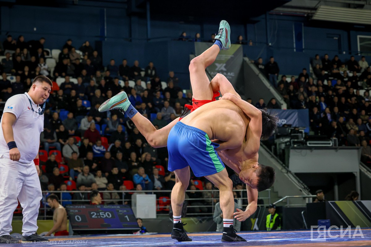 Фото: Мария Васильева, ЯСИА 