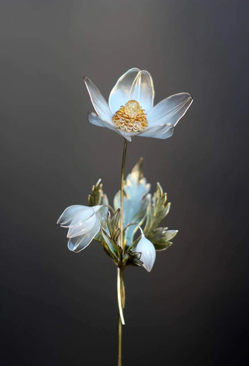 Фото предоставлено Гохраном Якутии