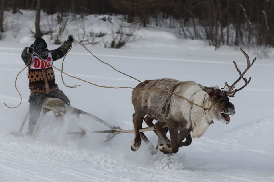 ООО «Транснефть – Восток» поддержало проведение межрегиональных соревнований юных оленеводов в Якутии