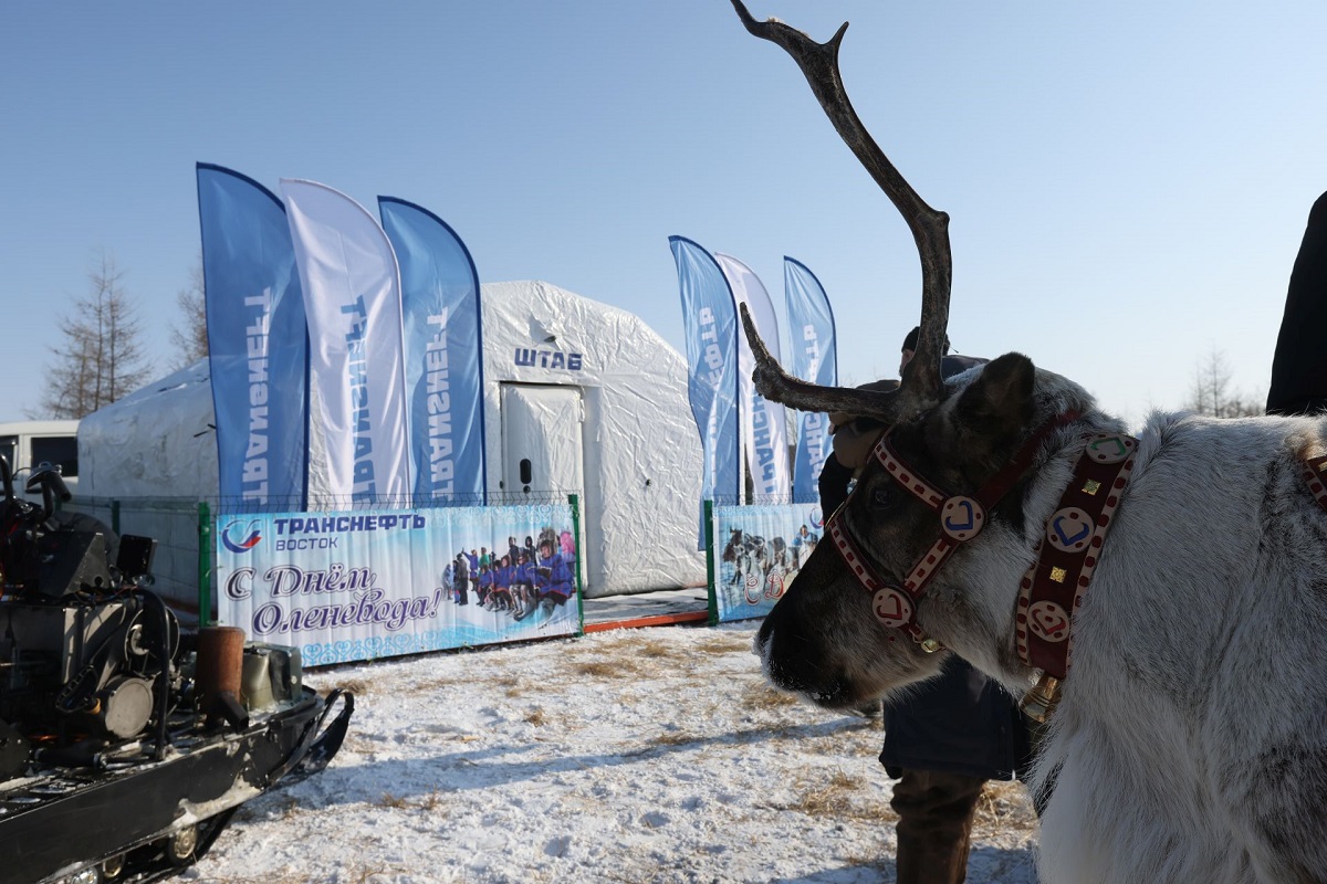 гонки оленеводов