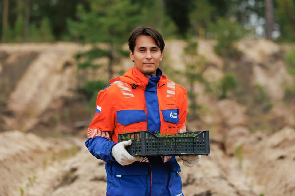 Нефтяники высадили в лесах Якутии сотни тысяч сеянцев хвойных деревьев