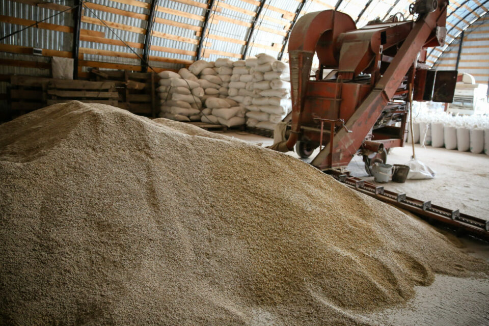 Новый ГОСТ на муку заработает в России с 1 апреля