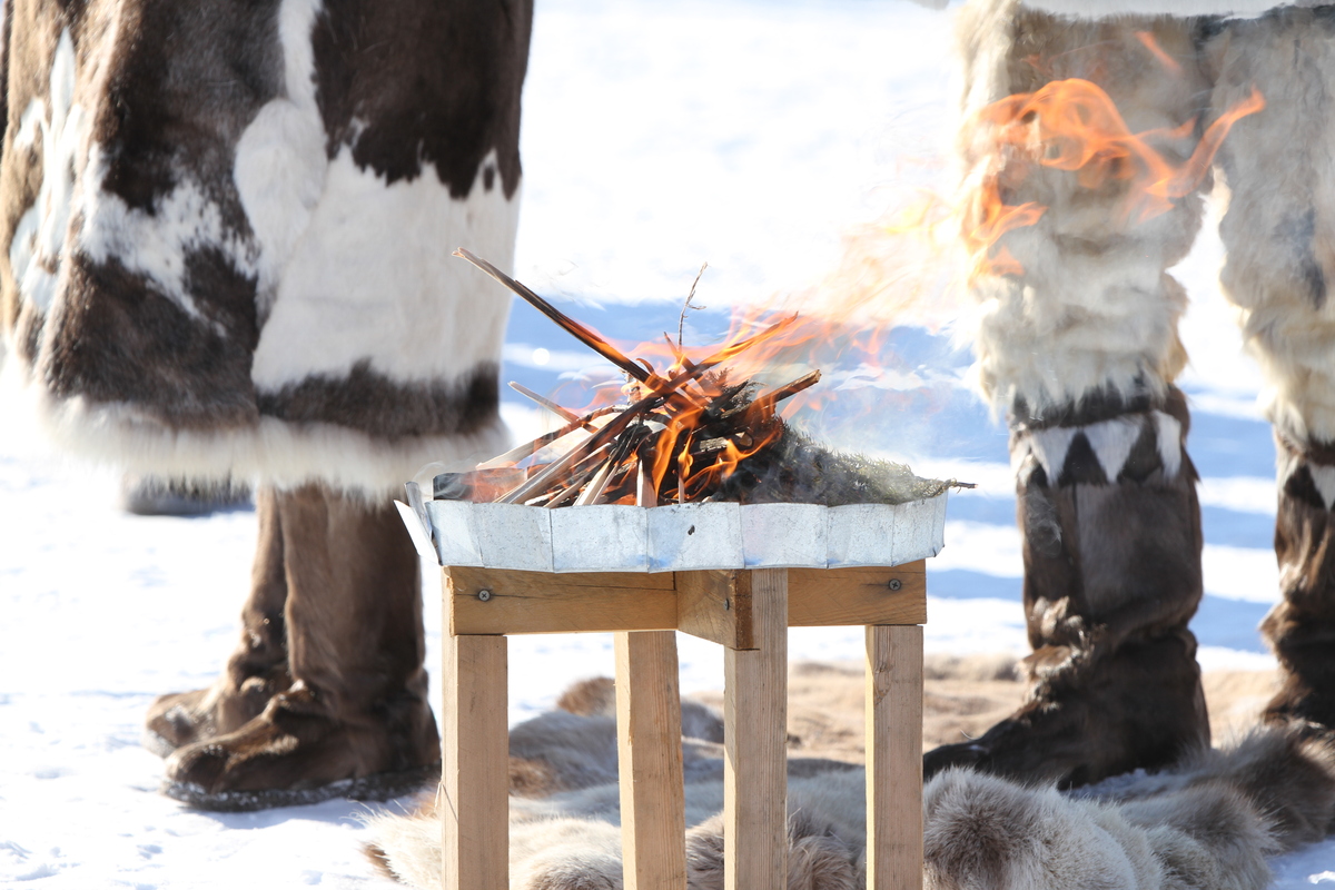 Фото: Саина Титова/ЯСИА