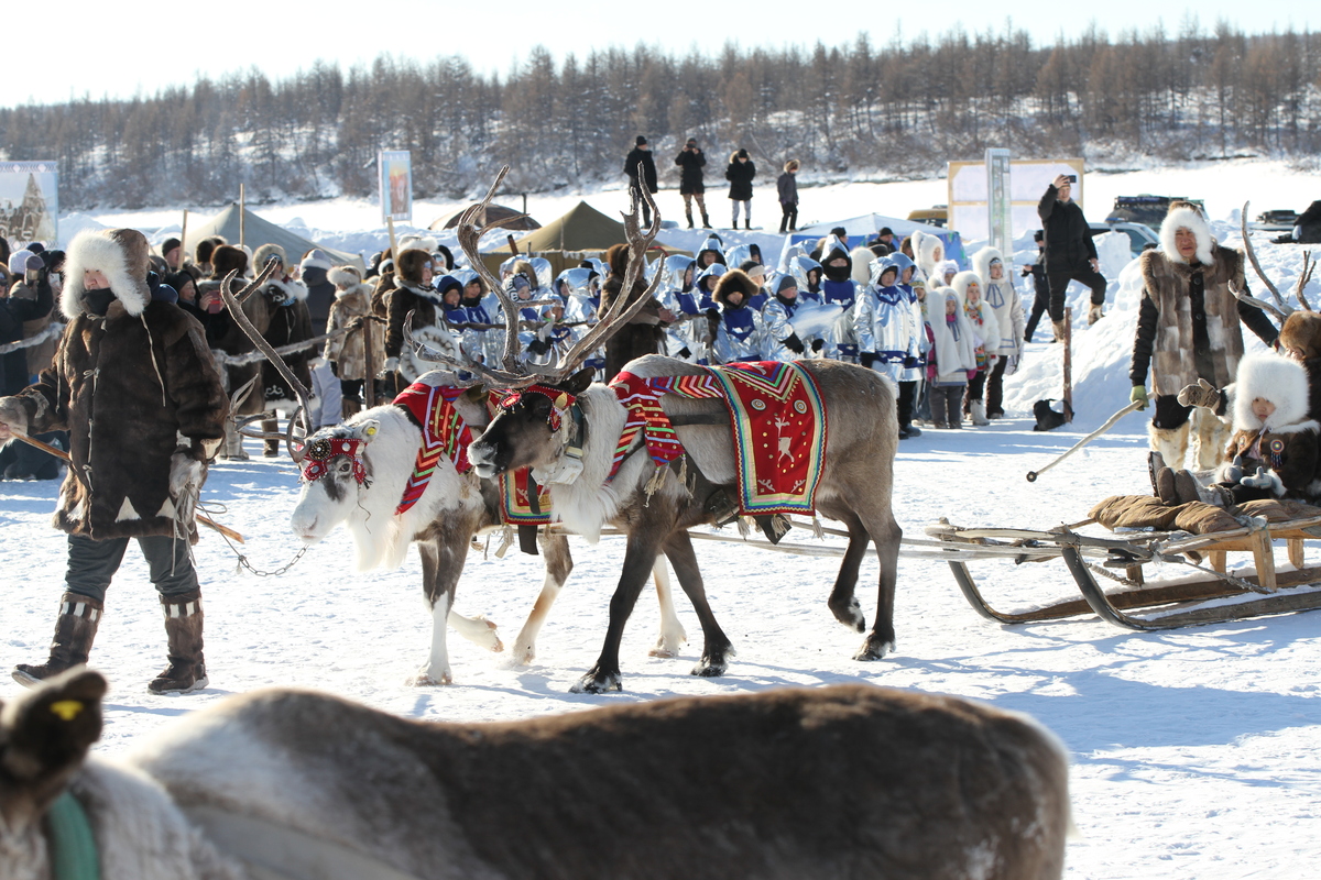 Фото: Саина Титова/ЯСИА