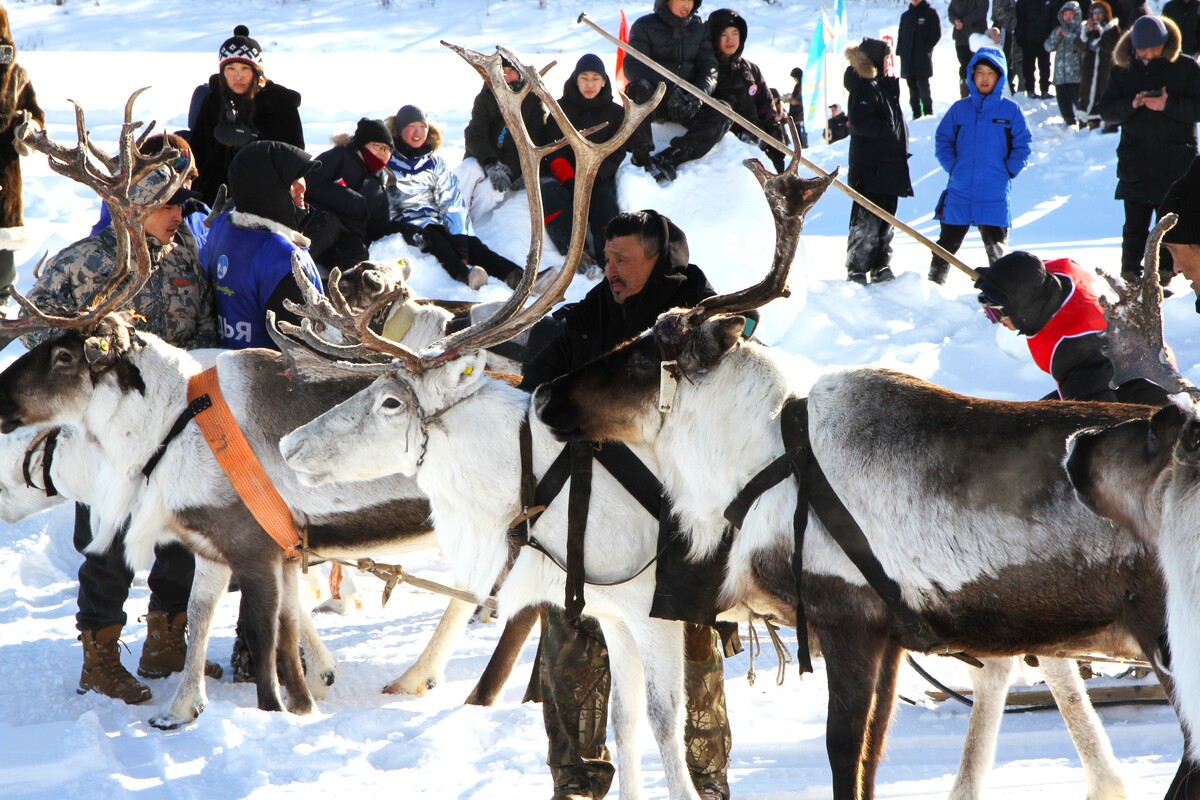 Фото: Саина Титова/ЯСИА