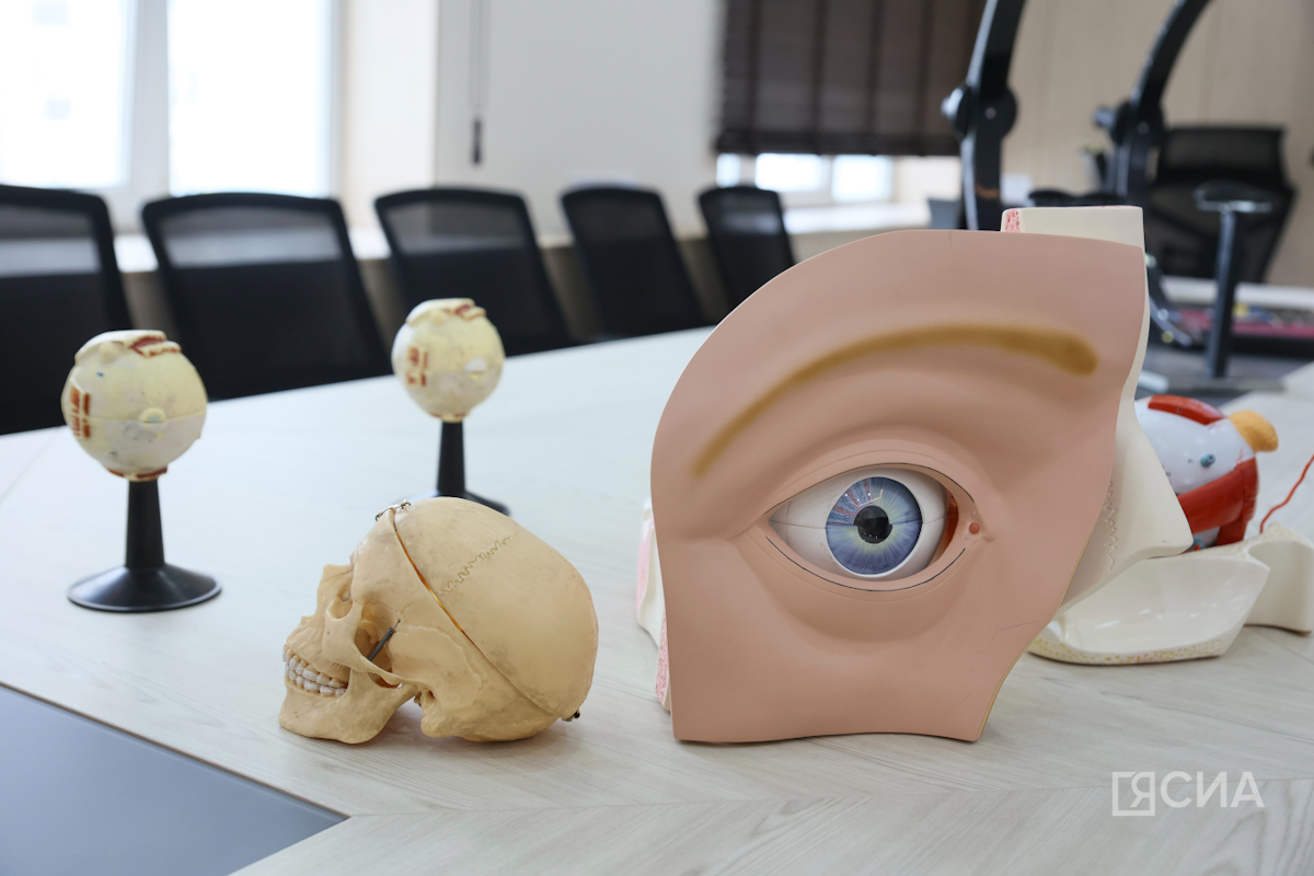 Фото: Саргын Скрябин/ЯСИА