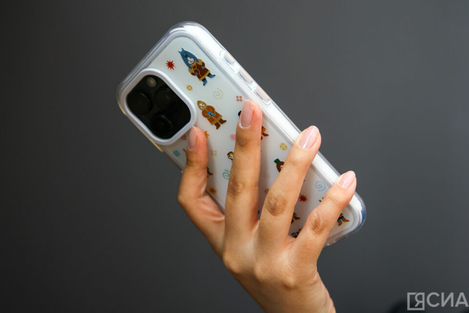 Лжесотрудники ФСБ и Центробанка лишили якутянку 7 миллионов рублей