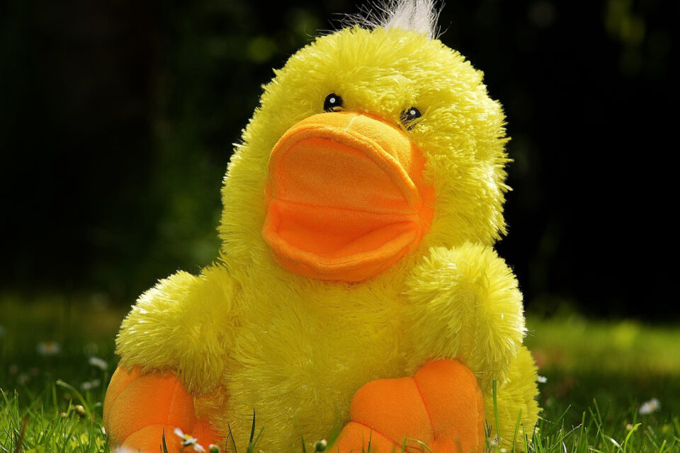 Утки по-апрельски: собрали подборку первоапрельских розыгрышей