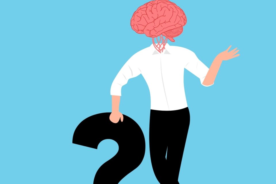 Тест: отличите ли вы настоящий факт от выдумки?