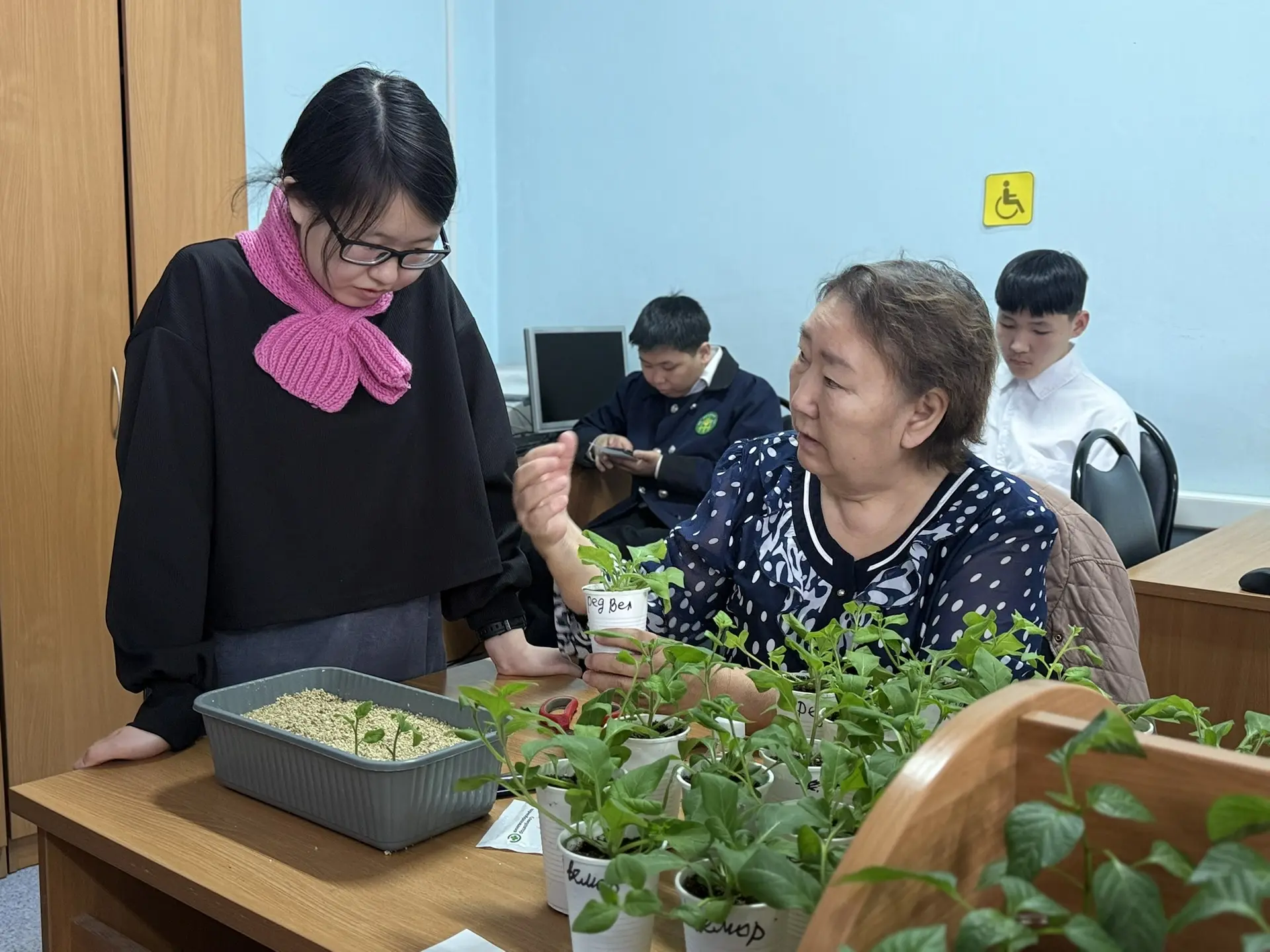 Фото: Мария Горохова/ЯСИА