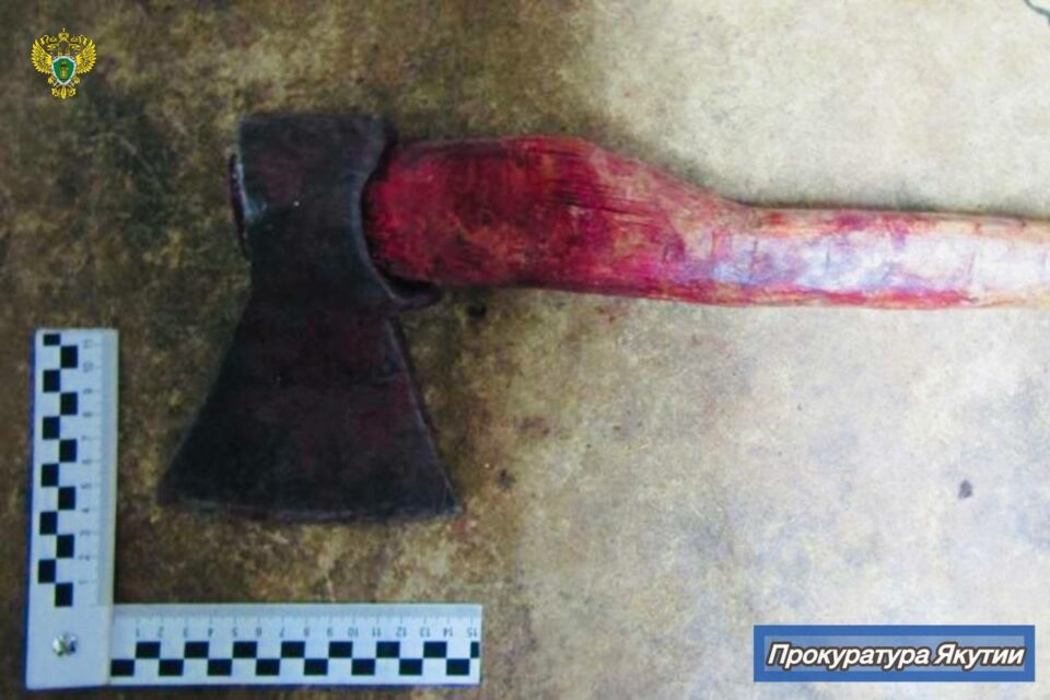 В Якутии мужчина до смерти забил знакомого топором, ножом и палкой с саморезами