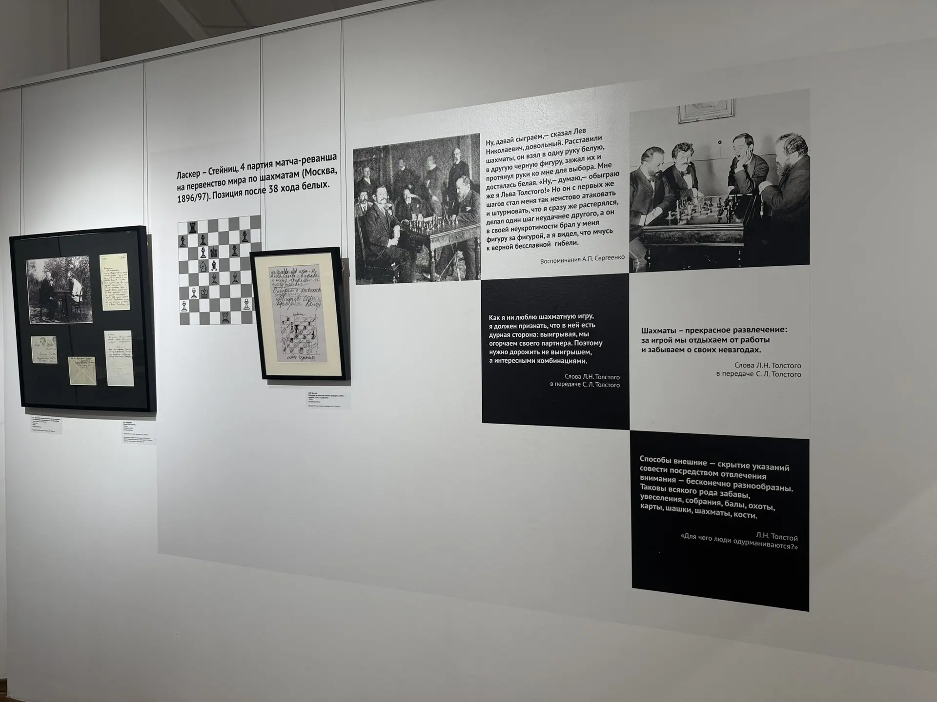 Фото: Мария Горохова/ЯСИА