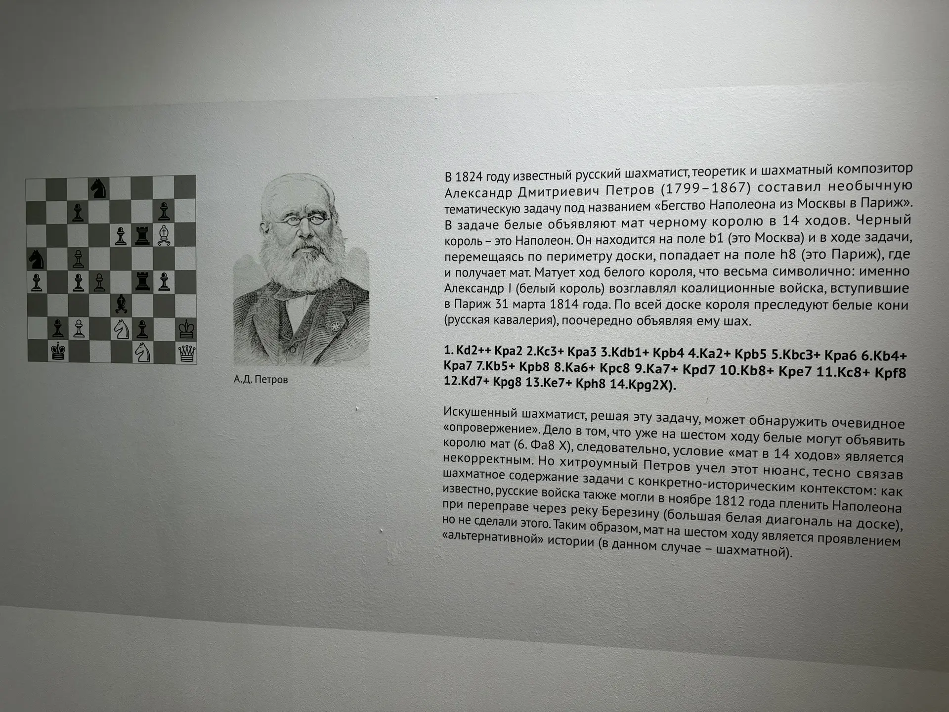 Фото: Мария Горохова/ЯСИА