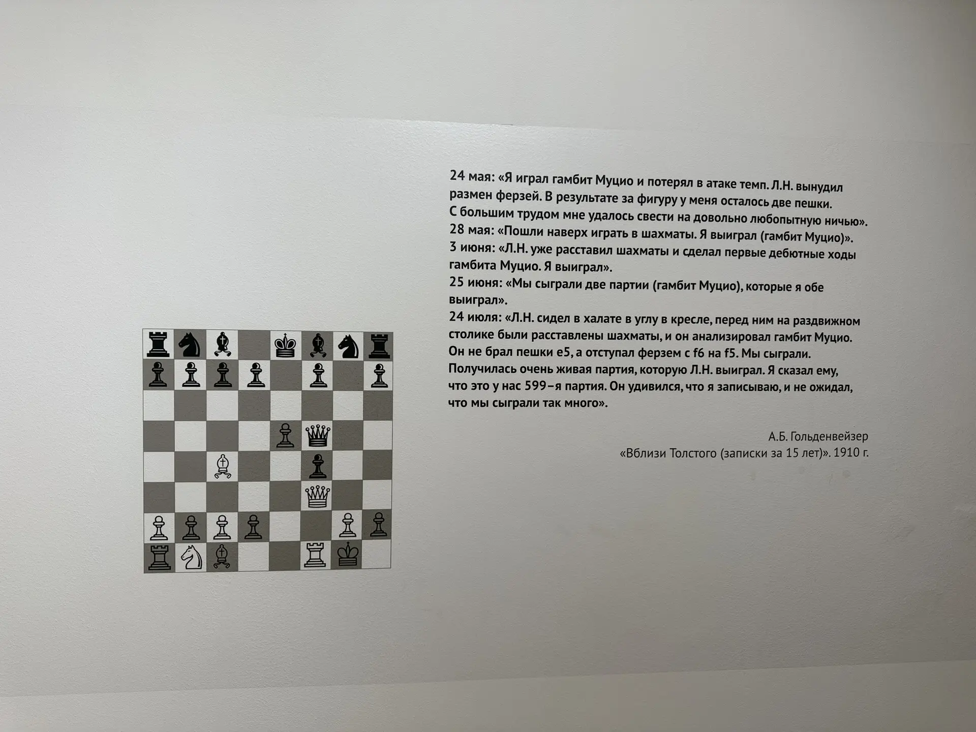 Фото: Мария Горохова/ЯСИА