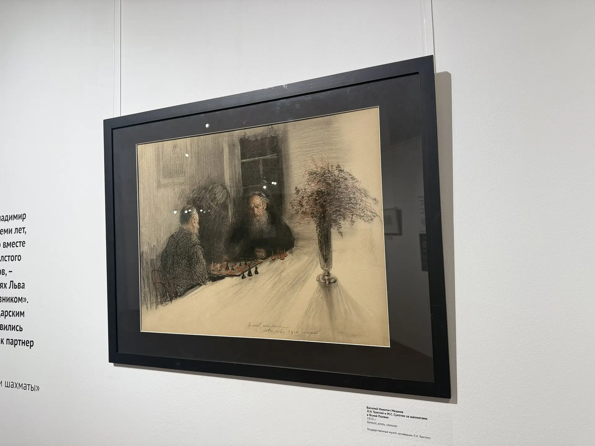 Фото: Мария Горохова/ЯСИА