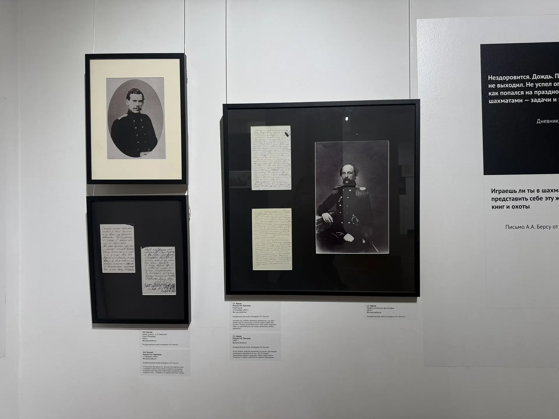 Фото: Мария Горохова/ЯСИА