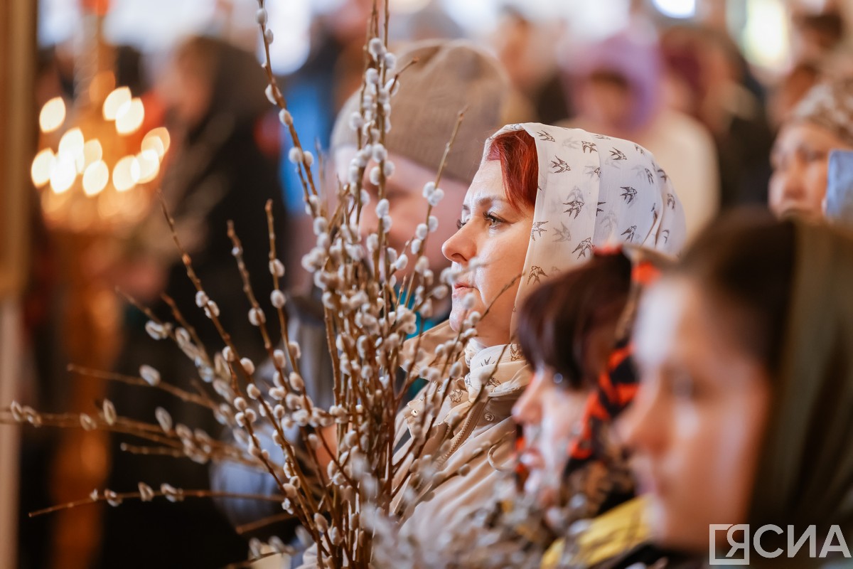 Фото: Андрей Сорокин/ЯСИА