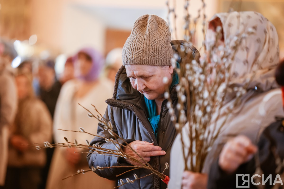 Фото: Андрей Сорокин/ЯСИА