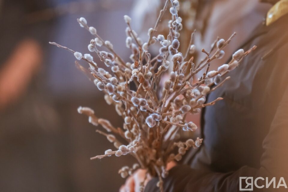 Фото: Вербное воскресенье 5 апреля в Якутске