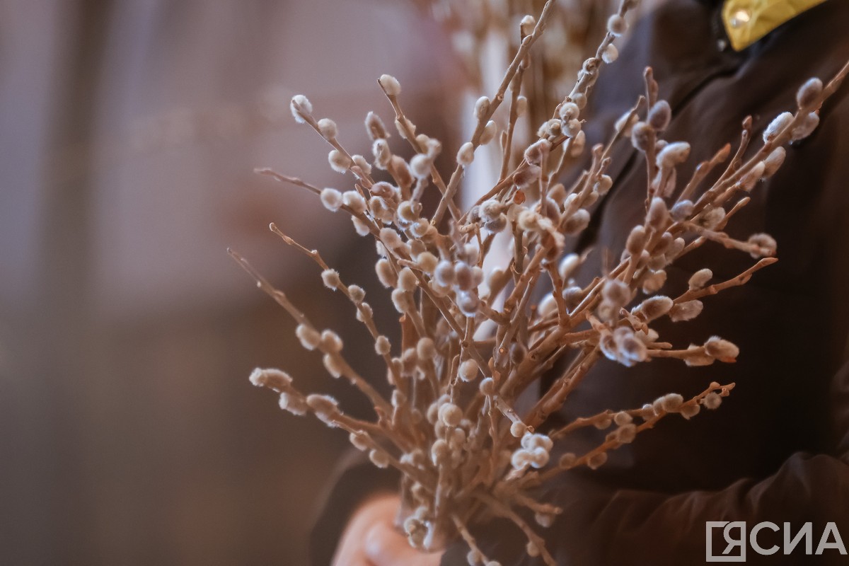 Фото: Андрей Сорокин/ЯСИА