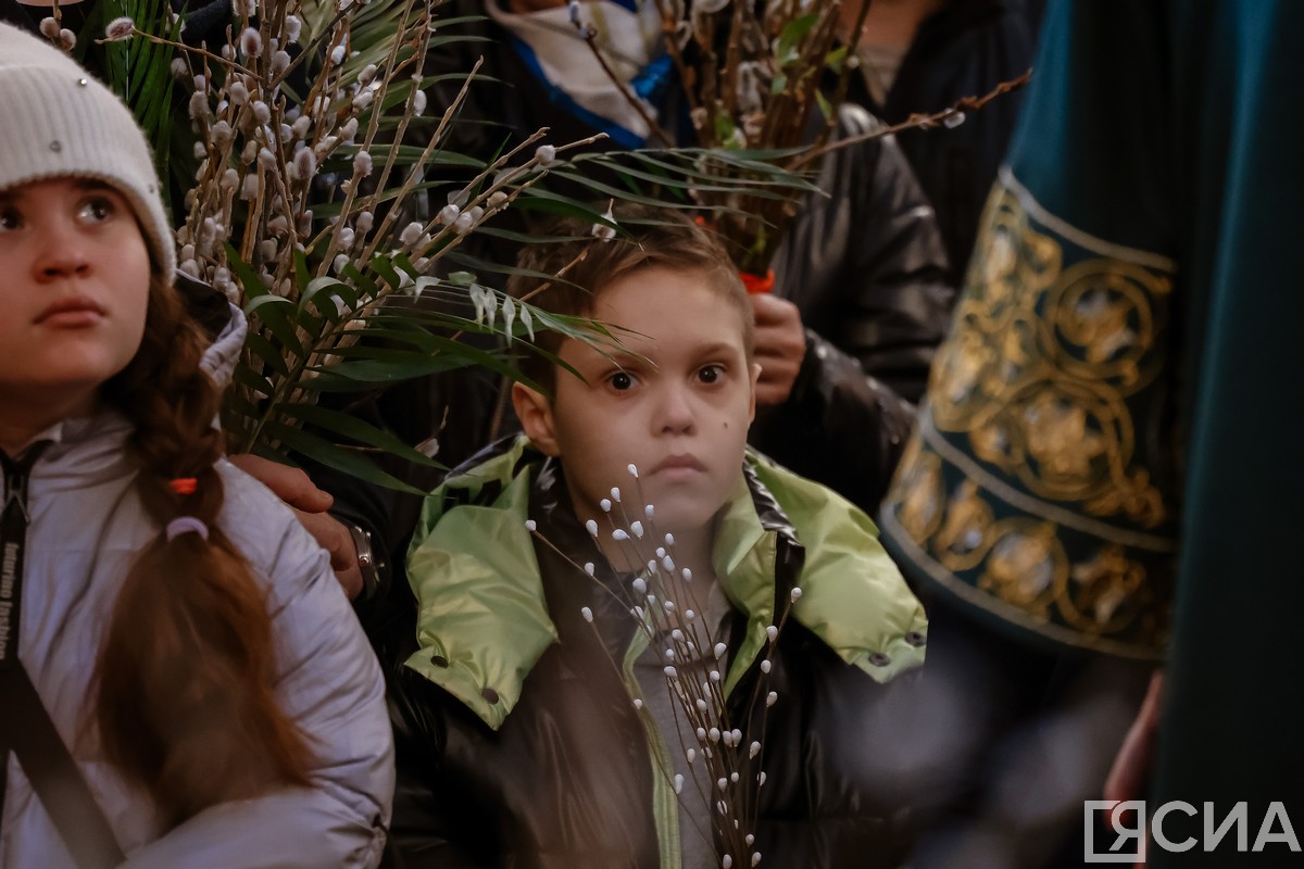 Фото: Андрей Сорокин/ЯСИА