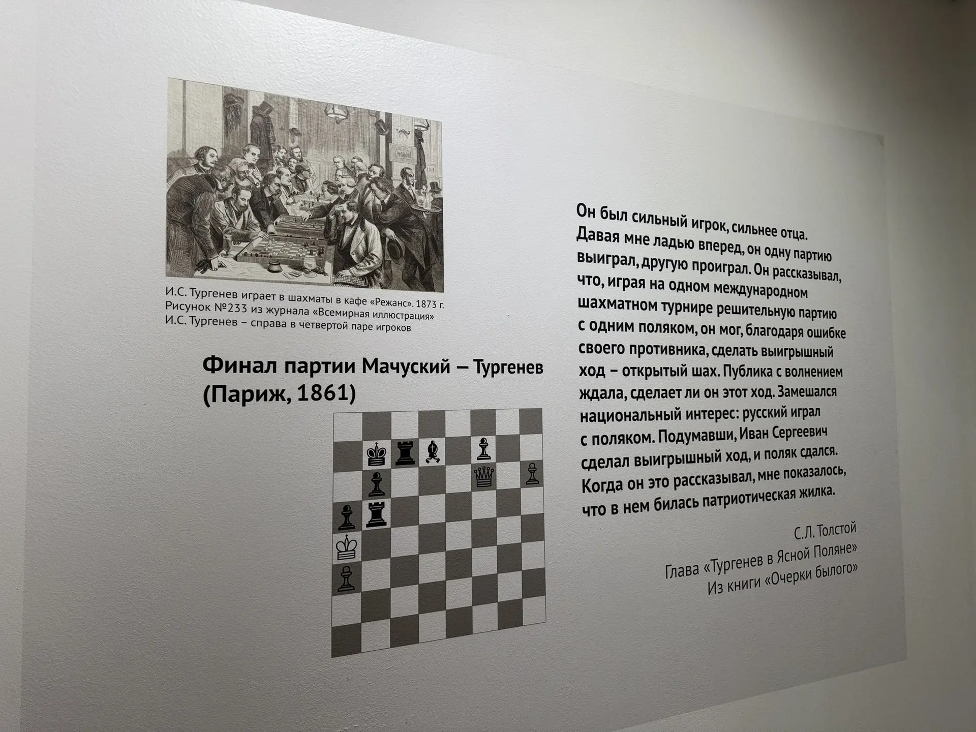 Фото: Мария Горохова/ЯСИА