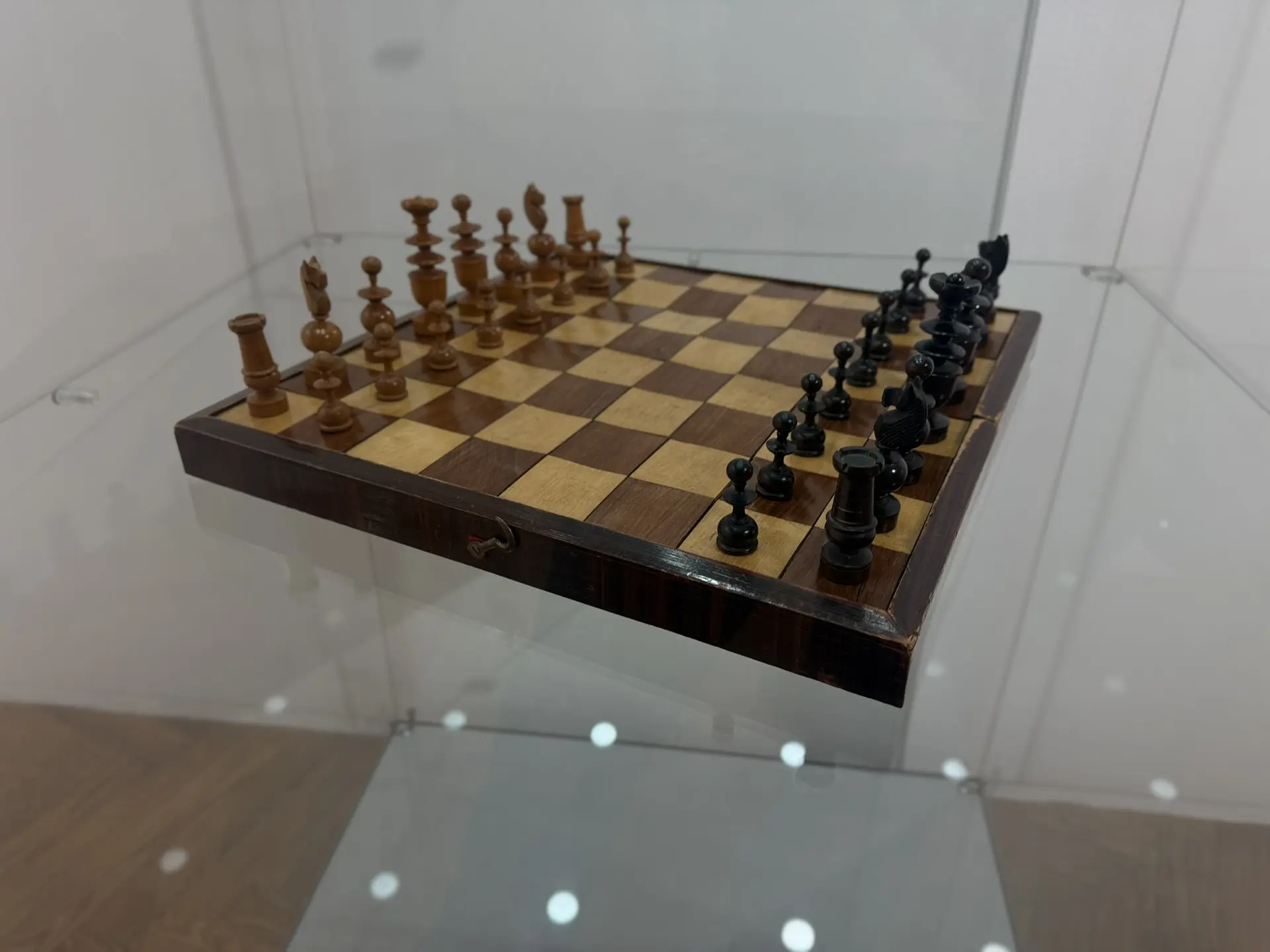 Фото: Мария Горохова/ЯСИА