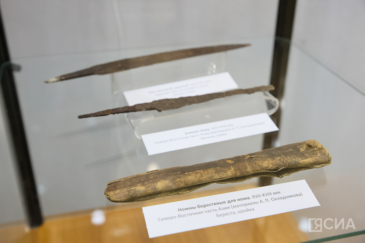 Фото: Саргын Скрябин/ЯСИА