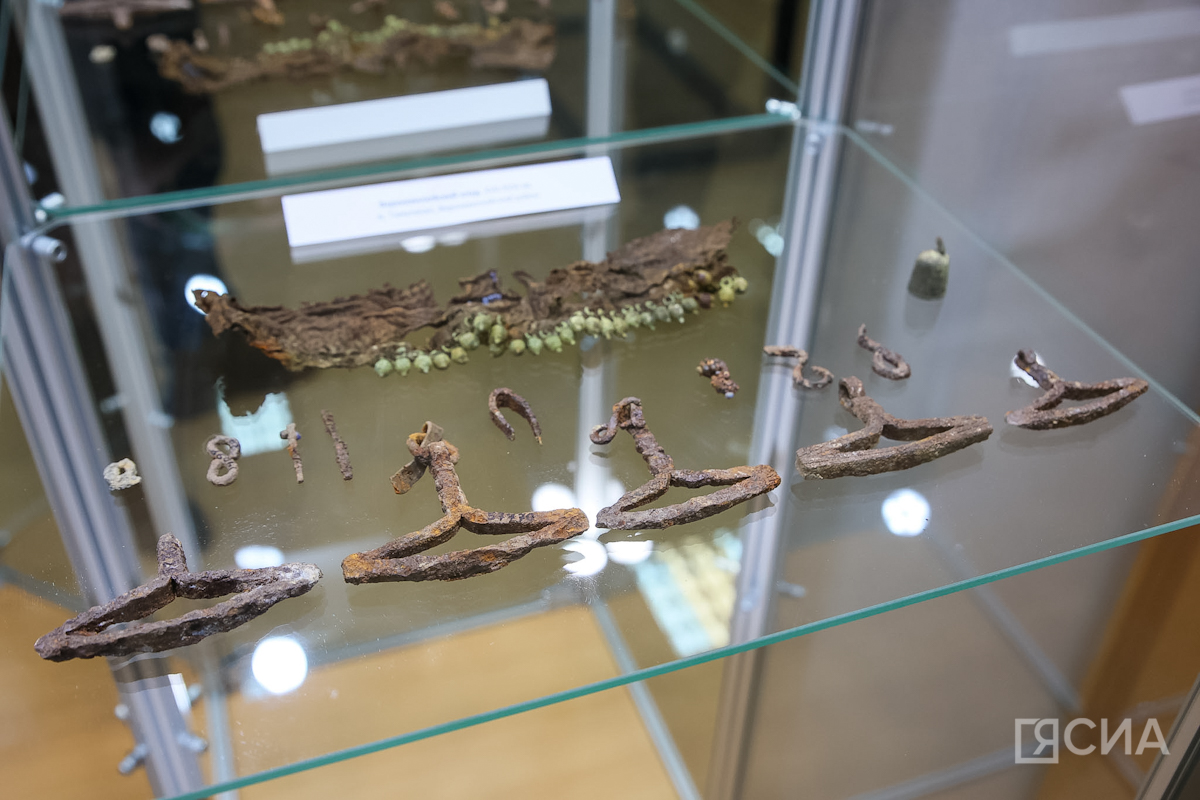 Фото: Саргын Скрябин/ЯСИА