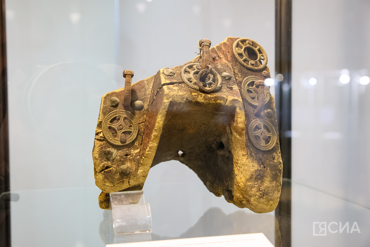 Фото: Саргын Скрябин/ЯСИА