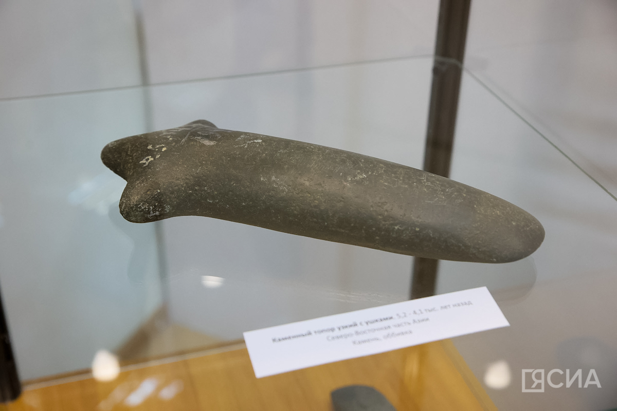 Фото: Саргын Скрябин/ЯСИА