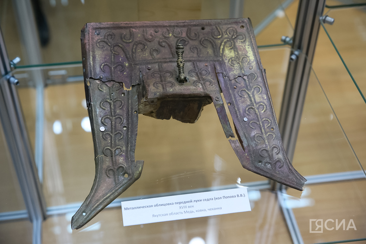 Фото: Саргын Скрябин/ЯСИА