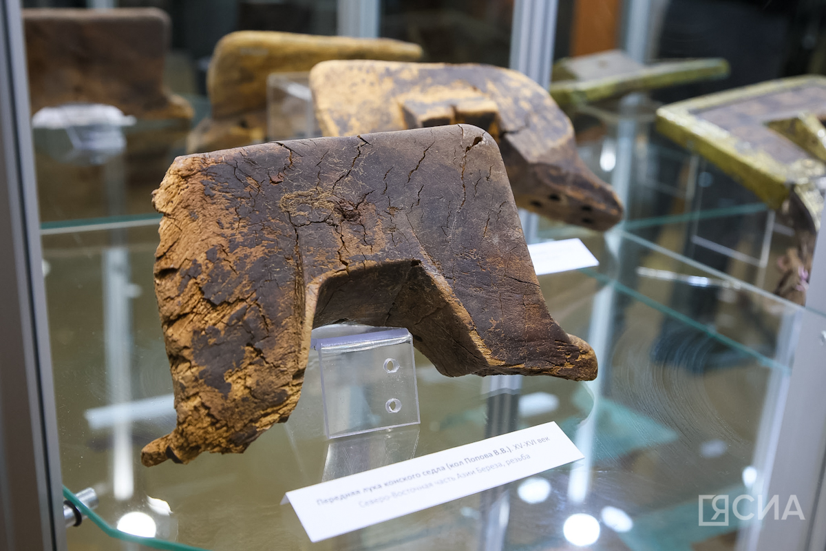 Фото: Саргын Скрябин/ЯСИА