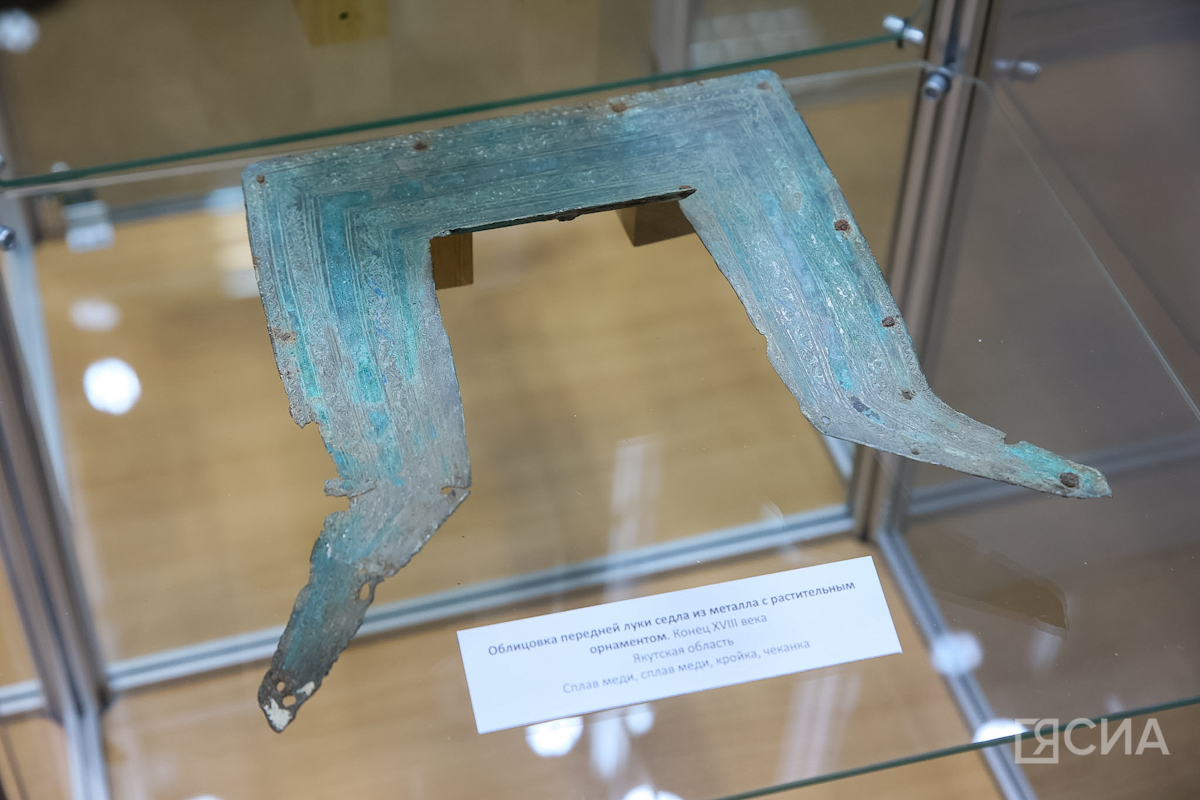 Фото: Саргын Скрябин/ЯСИА