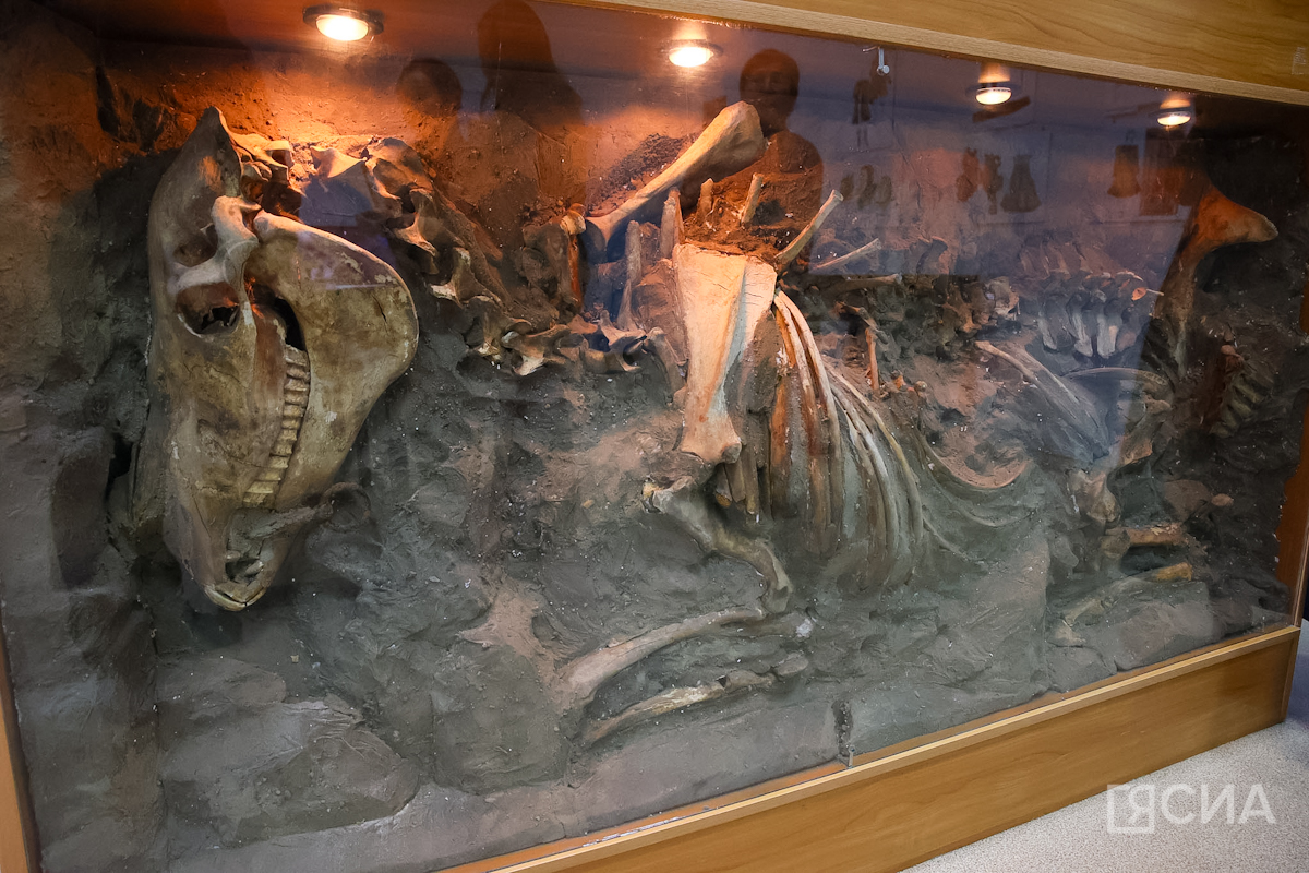 Фото: Саргын Скрябин/ЯСИА