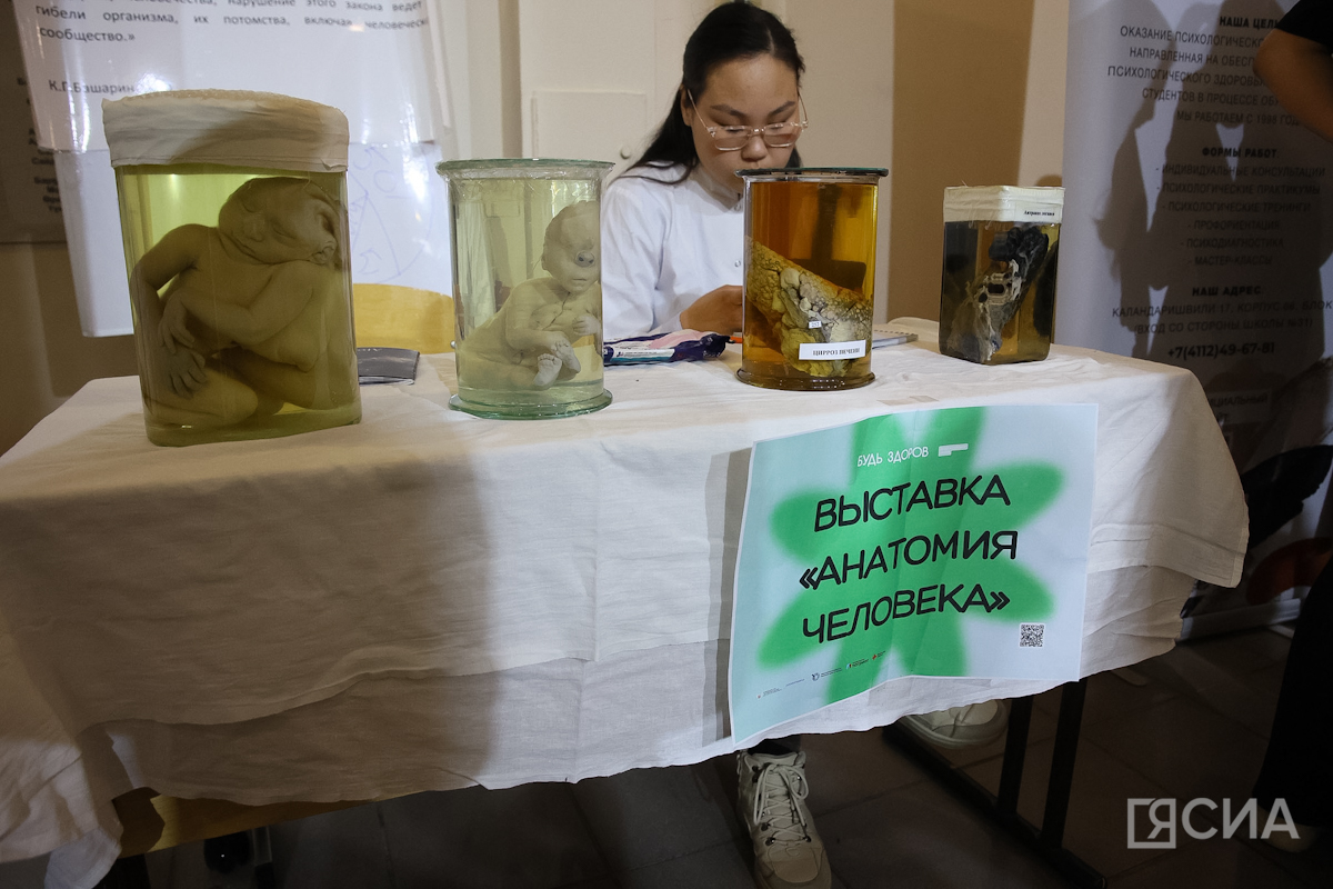 Фото: Саргын Скрябин/ЯСИА