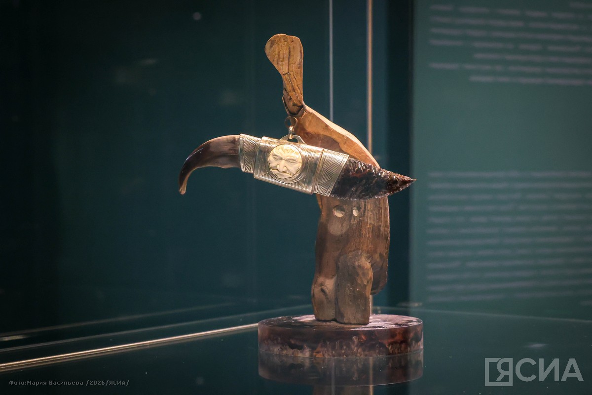 Фото: Мария Васильева/ЯСИА